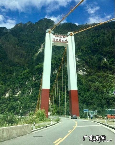 蛇泡酒真的有功效吗?泡出来的酒是什么成分有人研究过吗?