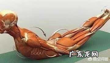 体育锻炼能zhi好腰椎间盘突出吗？