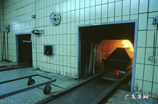 火化时尸体会有哪些变化还存在基因吗