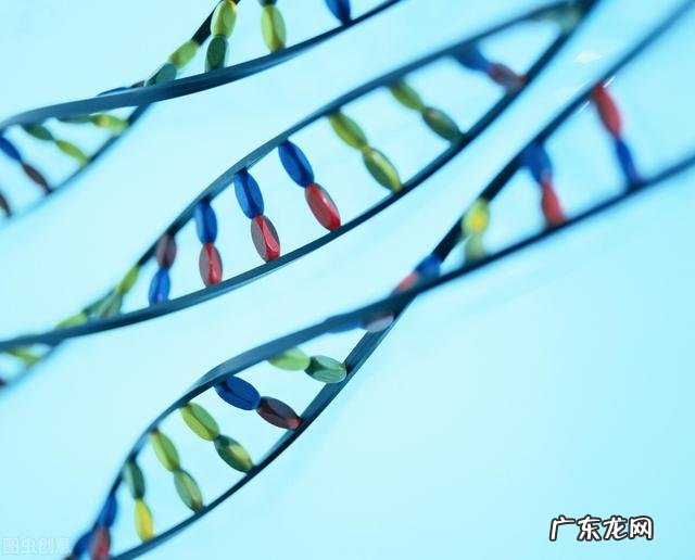 火化时尸体会有哪些变化还存在基因吗