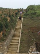 同样是人，为什么蚊子只咬我一个人？