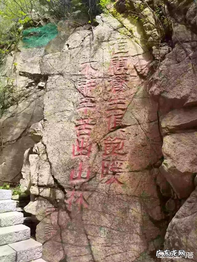 茶水与酒该如何搭配?怎样喝更健康?