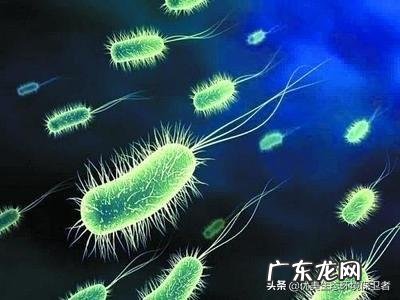 如果在火星上放一颗细菌,它能演化成类似人类的生命吗