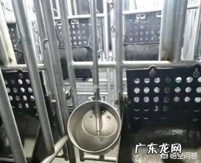 50天如何减掉25斤肉? 15天如何减掉40斤