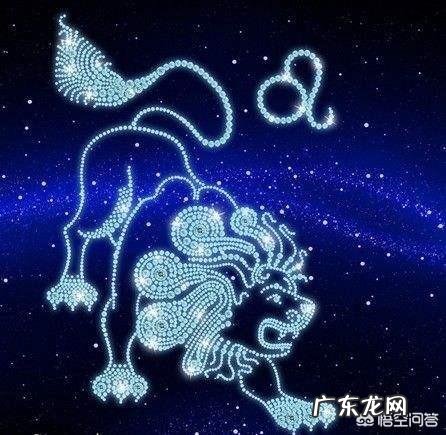 狮子的特点和狮子的生存方式？ 狮子和白羊配还是狮子和双子配