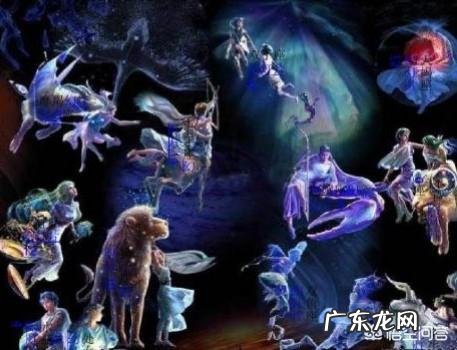 狮子的特点和狮子的生存方式？ 狮子和白羊配还是狮子和双子配