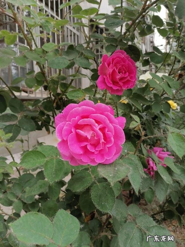 抑郁症会引起皮肤出油吗?