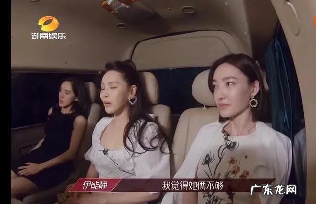 全网为什么都是疯狂骂伊能静的?