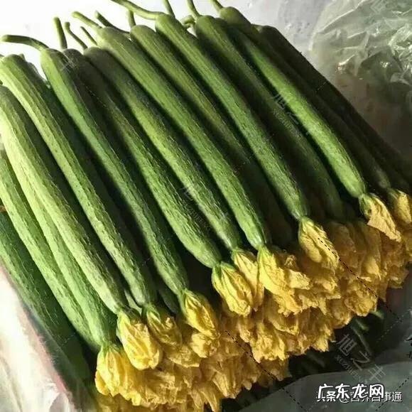吃丝瓜血糖会升吗？血糖高不能吃哪些蔬菜？