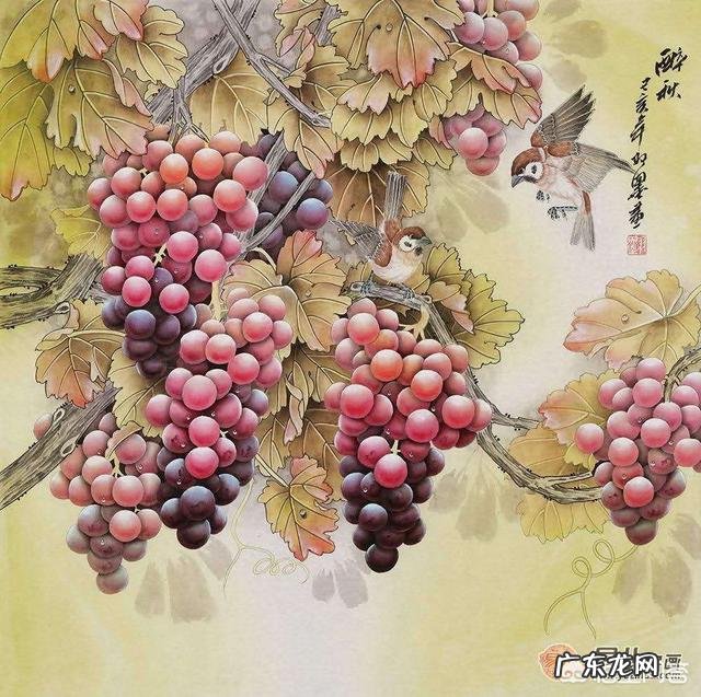 孕晚期可以吃葡萄吗？孕妇不能吃哪些水果？