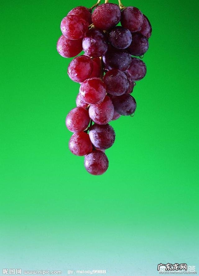 孕晚期可以吃葡萄吗？孕妇不能吃哪些水果？