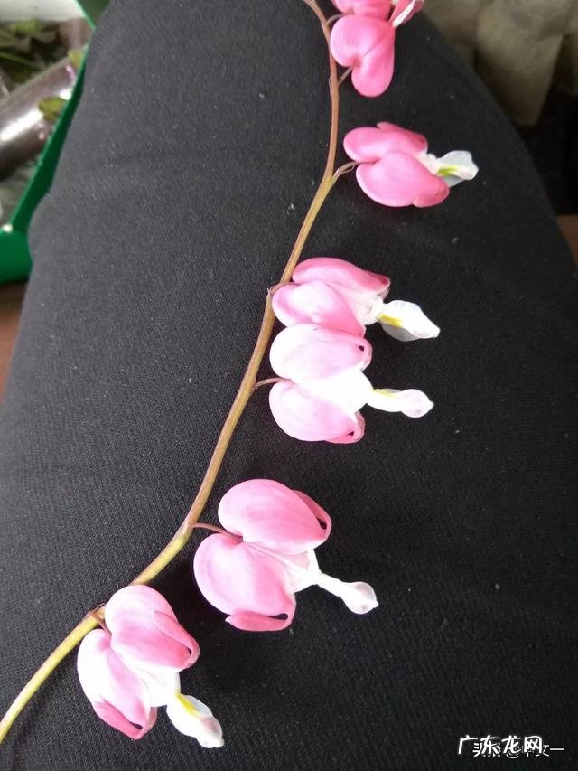 有人说给儿子找媳妇，不但女方要好关键还要看丈母娘人品，对吗？