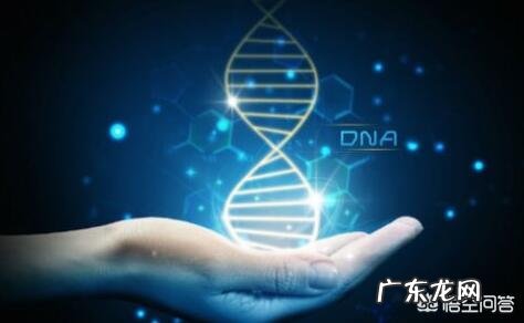 肿瘤基因,我们真的有必要去做基因检测吗