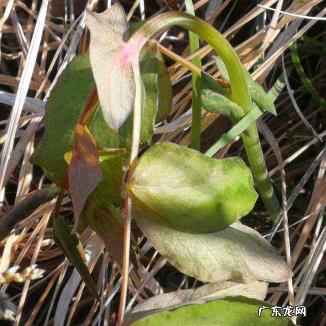 有没有什么地方是你强烈推荐人们去旅游的?