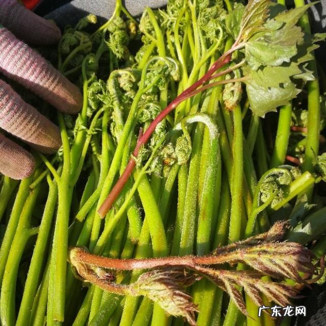 有没有什么地方是你强烈推荐人们去旅游的?