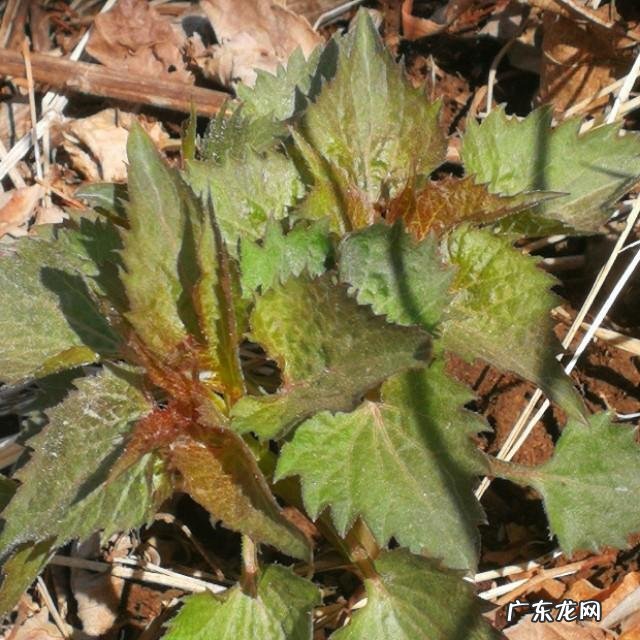 有没有什么地方是你强烈推荐人们去旅游的?