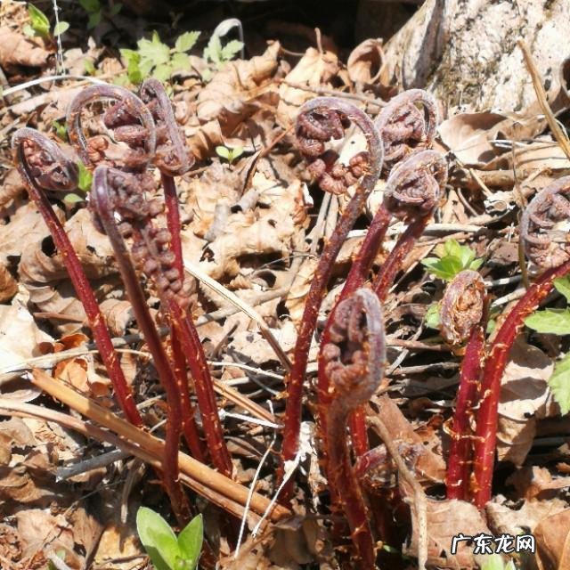 有没有什么地方是你强烈推荐人们去旅游的?