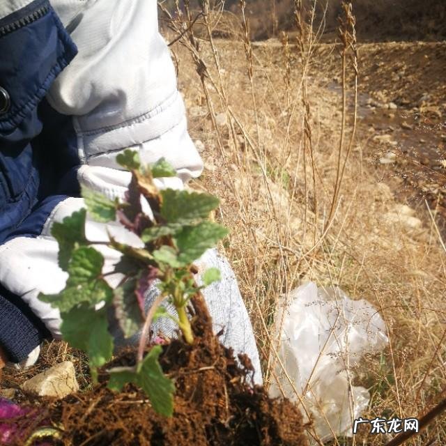 有没有什么地方是你强烈推荐人们去旅游的?