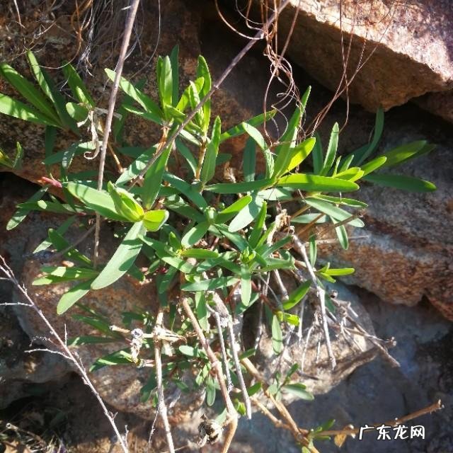 有没有什么地方是你强烈推荐人们去旅游的?