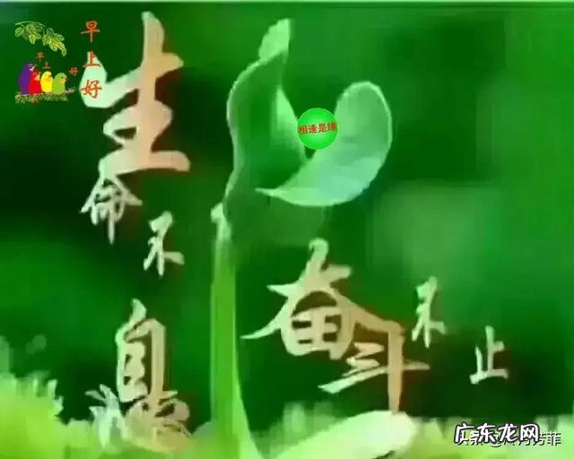 如何提高自控力和意志，让生活变的自律起来？