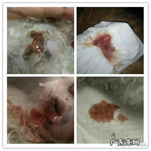 你们相信地底文明的存在吗为什么