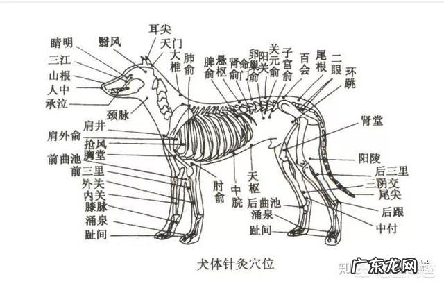 你们相信地底文明的存在吗为什么