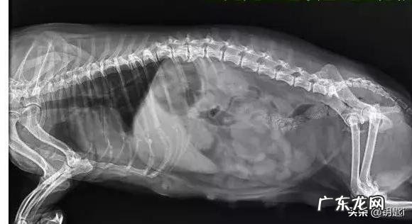 你们相信地底文明的存在吗为什么