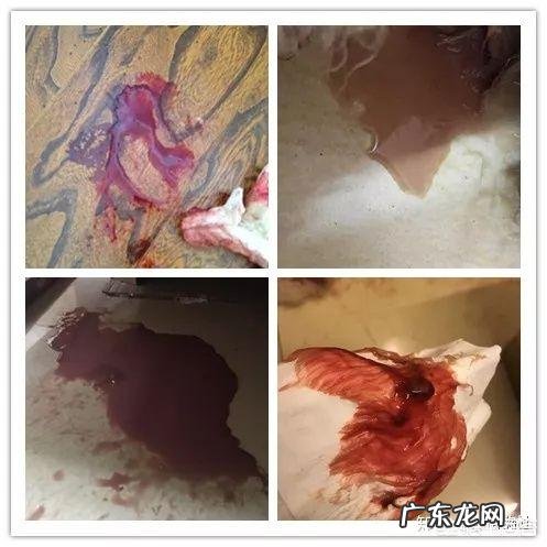 你们相信地底文明的存在吗为什么