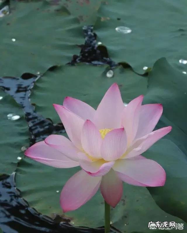 你对于开学有什么想说的吗