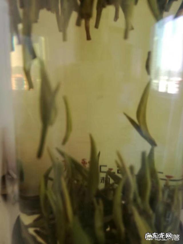 餐桌上常见的饮品---茶，多喝真的能降糖吗？