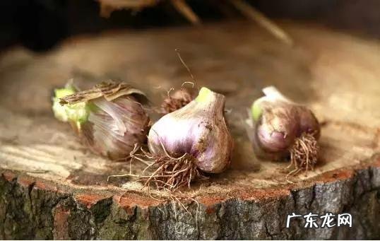 男人吃大蒜对身体有哪些好处？