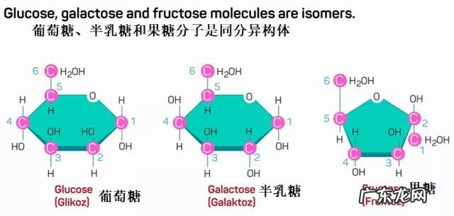 什么是单体和聚合物?它们之间有何关系?