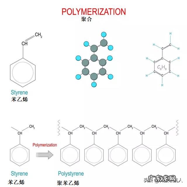 什么是单体和聚合物?它们之间有何关系?