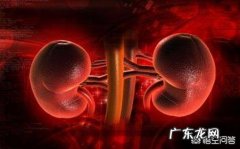 肾虚如果通过运动来调理？