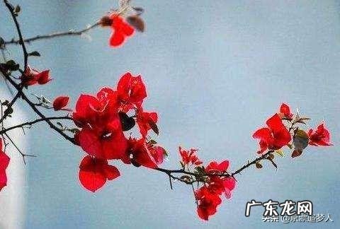 玩头条的女生都是些什么性格的人？