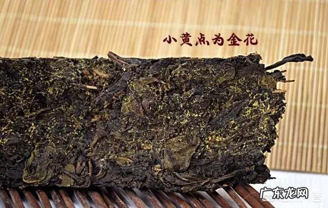 玩头条的女生都是些什么性格的人？