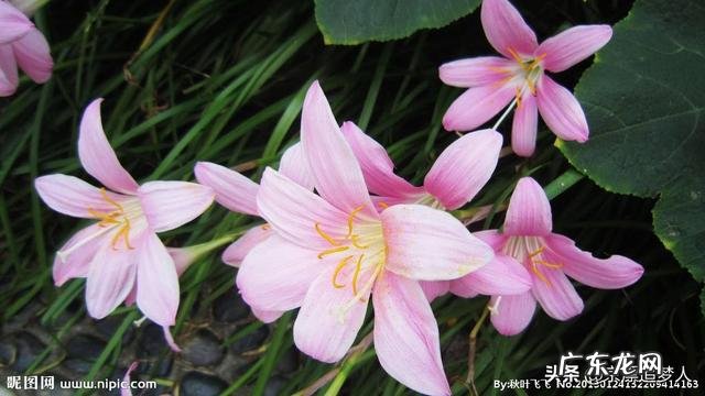 玩头条的女生都是些什么性格的人？