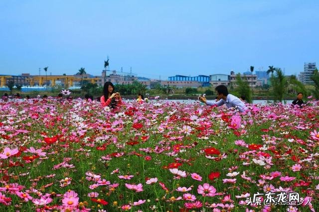 玩头条的女生都是些什么性格的人？