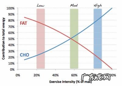 在有氧运动中身体是先消耗蛋白质、脂肪还是碳水?