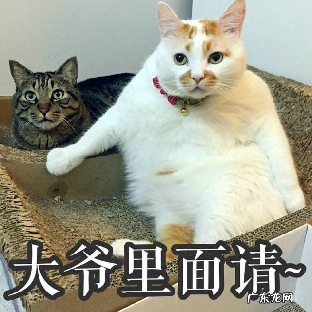 可以用香皂来洗头发吗 没有洗发水香皂能洗头发么