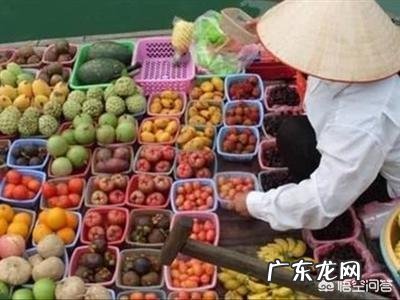 养乐多是不是含有乳酸菌啊?