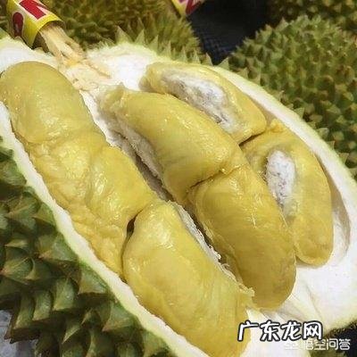 养乐多是不是含有乳酸菌啊?