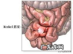 为什么有的人一吃西药就胃痛？