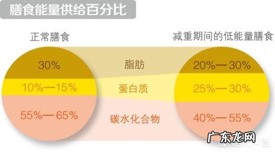 人比较懒,想减肥,有哪些方法可以做到?