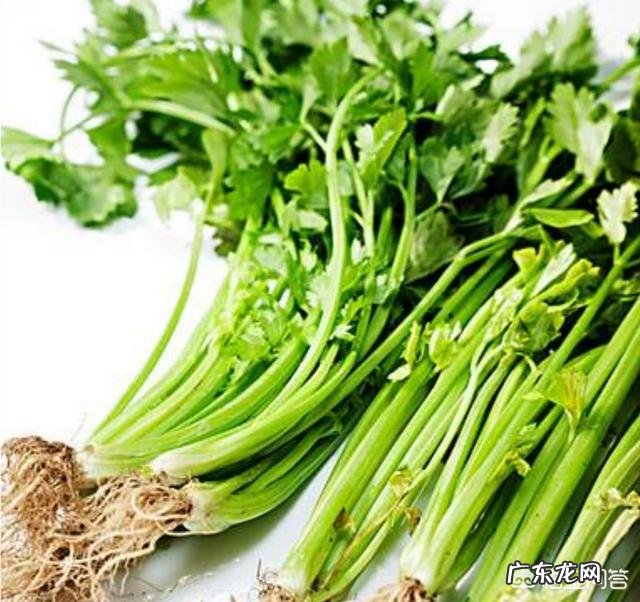 人比较懒,想减肥,有哪些方法可以做到?