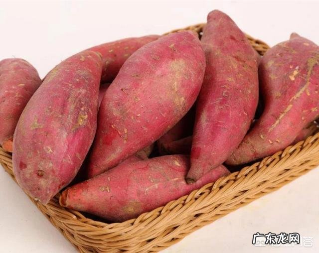 人比较懒,想减肥,有哪些方法可以做到?