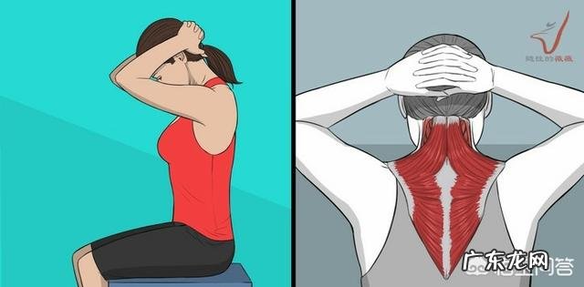 经常做颈椎操对颈椎病有用吗？生活中有哪些需要注意的？