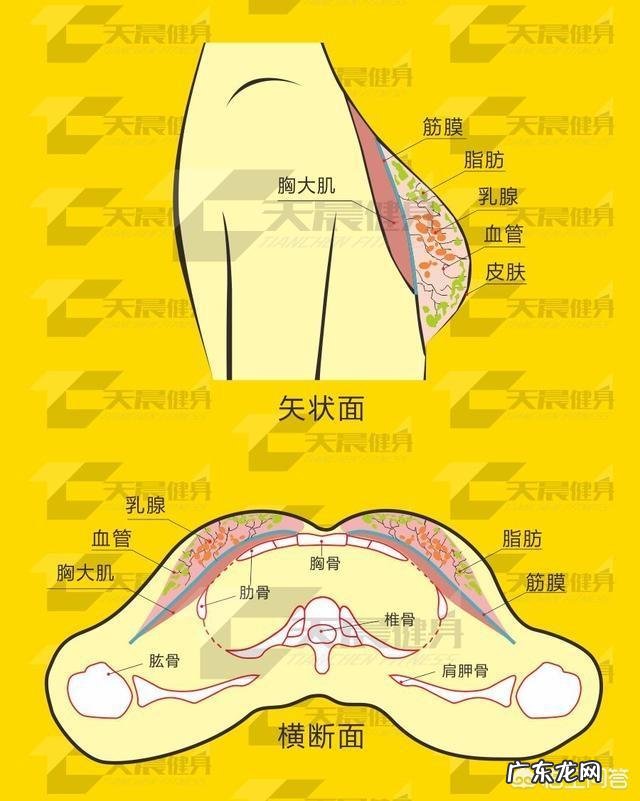 女人减肥的同时会减胸吗?