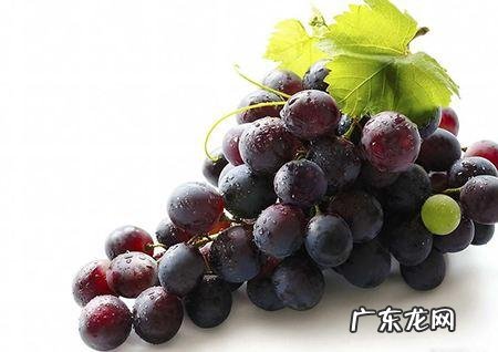婴儿能不能吃葡萄,葡萄有什么好处?
