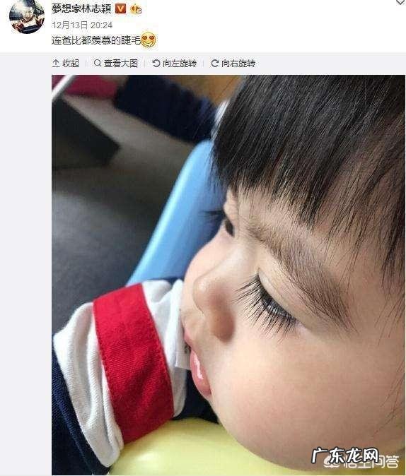 睫毛增长液的知名品牌有什么你知道哪些